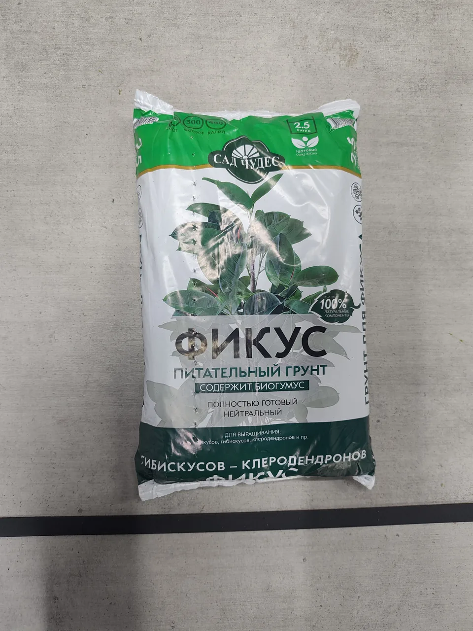 Грунт фикус
